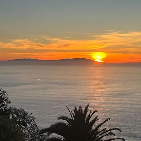 Golden Horizon